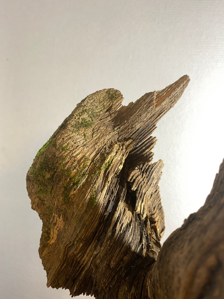 Kunst Skulptur Engel Flügel Vogel Holz
